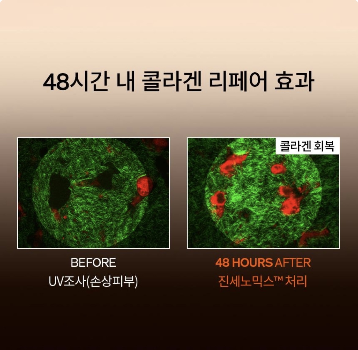 자음생유액 상세이미지 5