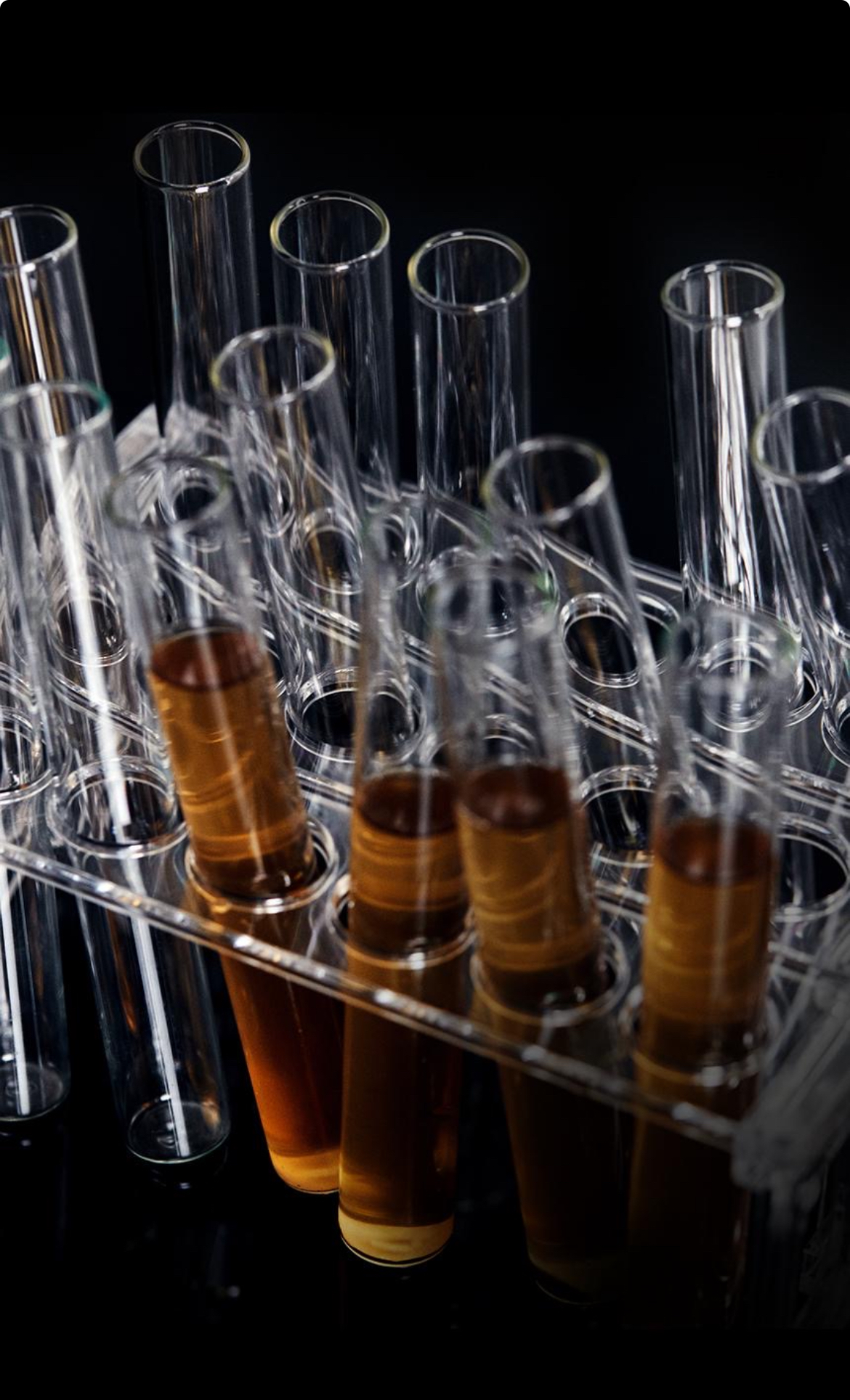 자음생유액 상세이미지 10