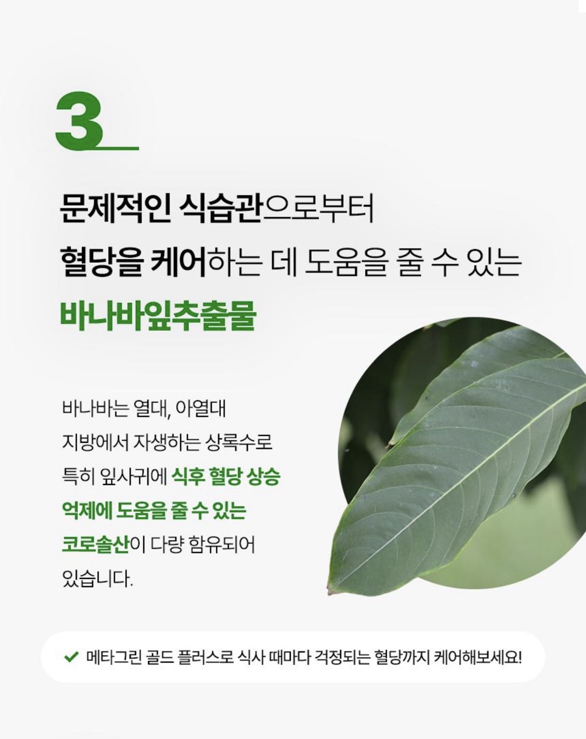 메타그린 골드 100일분 상세정보 6