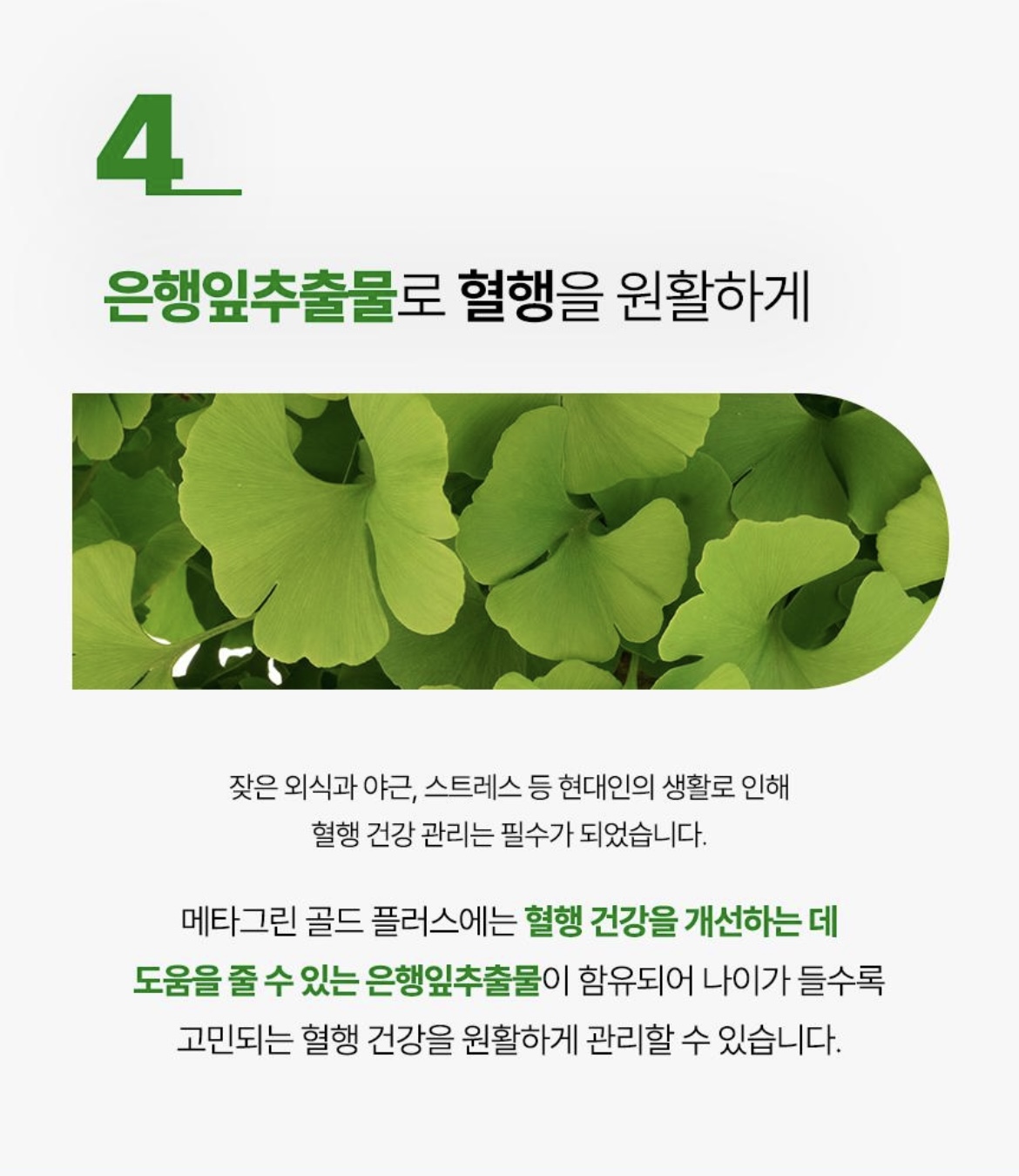 메타그린 골드 100일분 상세정보 7