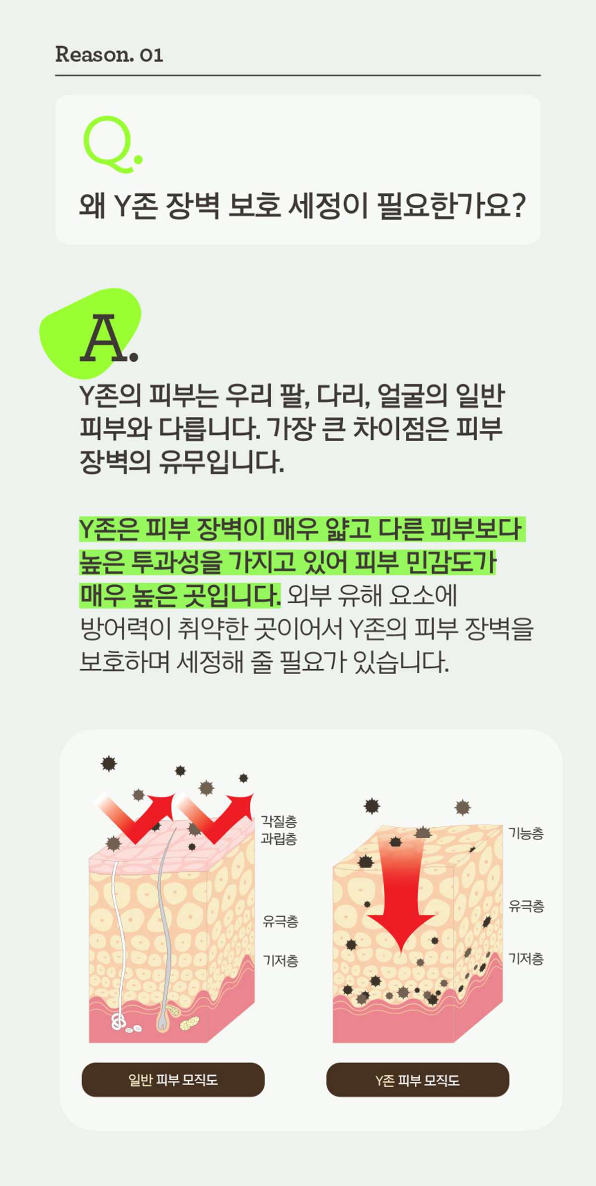 프리메라 후리&후리 상세정보 2