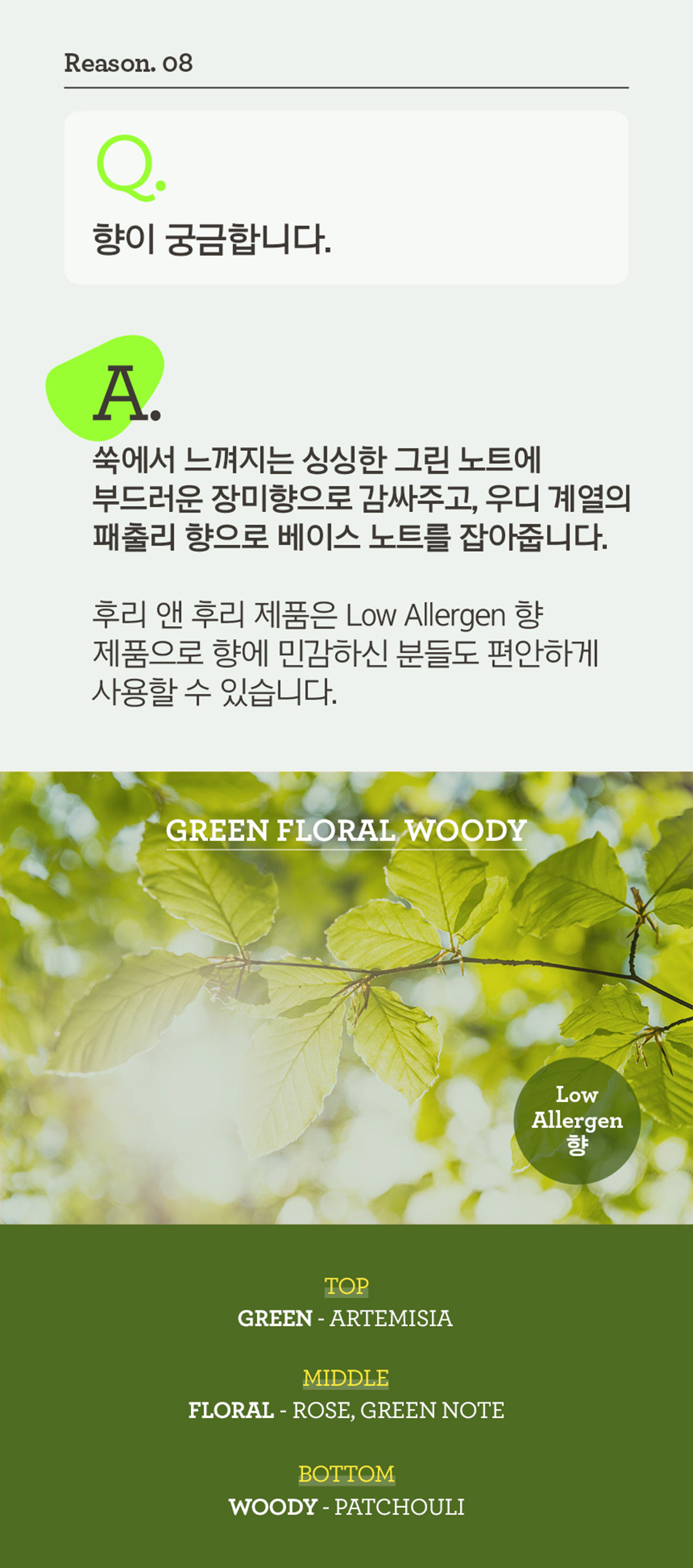 프리메라 후리&후리 상세정보 6