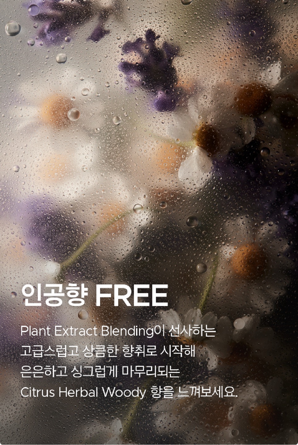 프리메라 리페어링 세라캡슐 상세정보 15