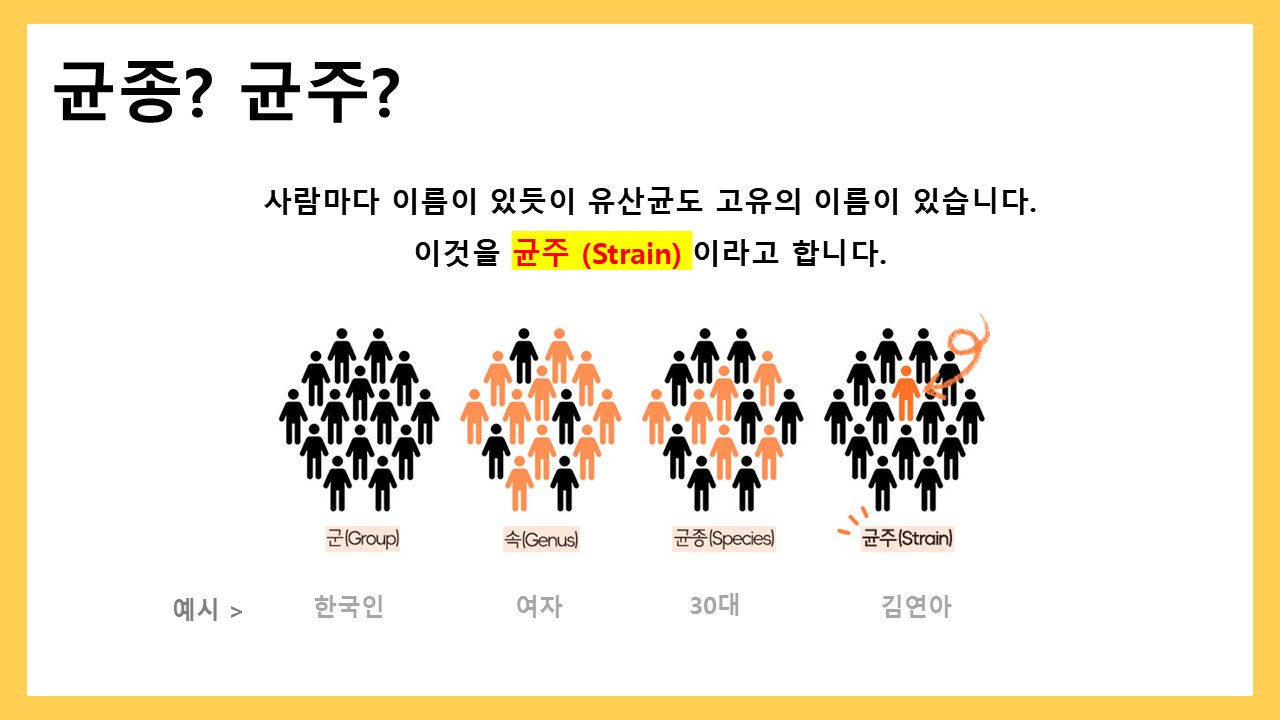 프로바이오틱스&이뮨 상세정보 3