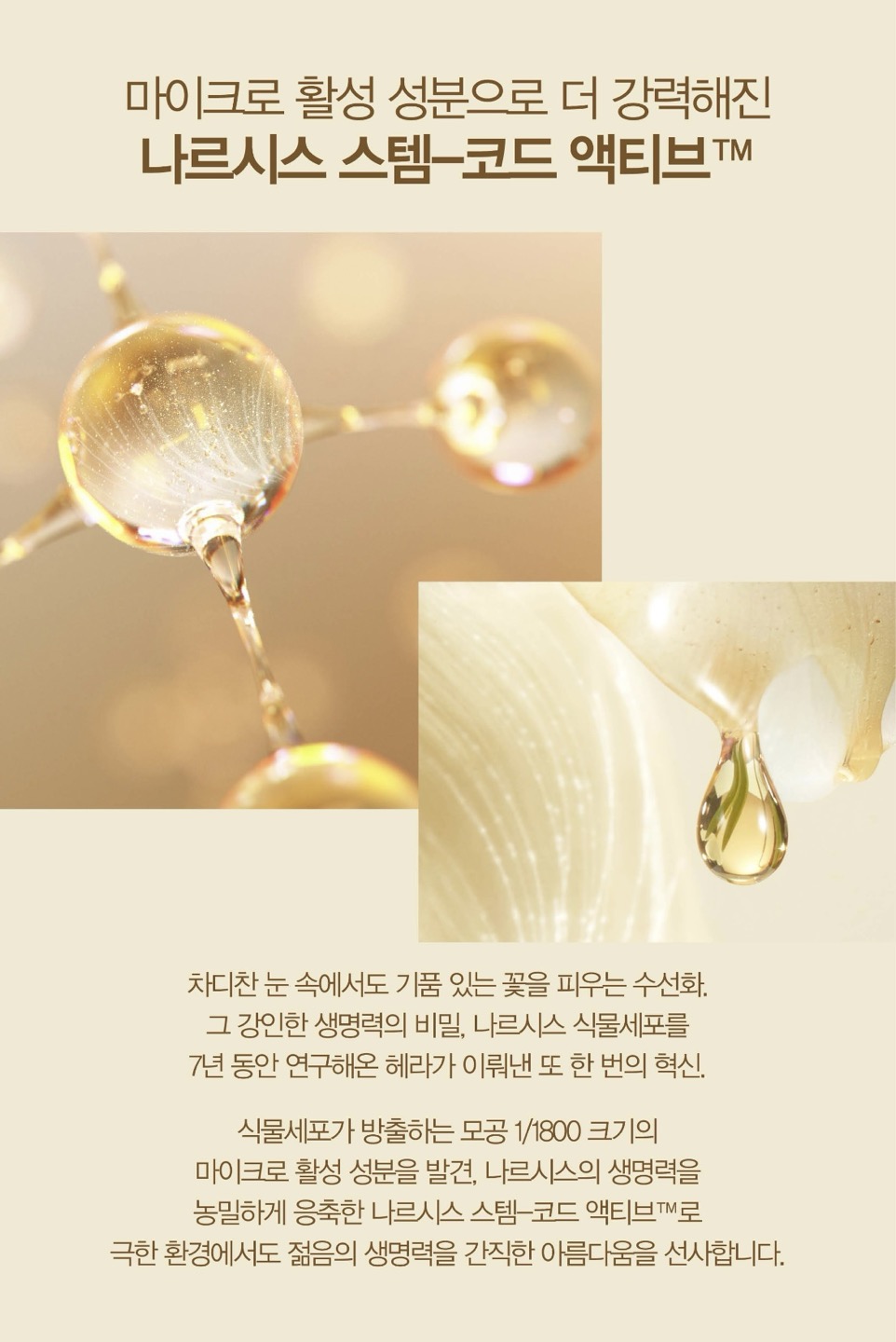 시그니아 크림 상세정보 2